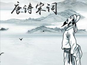 日韩谈唐诗宋词视频,跨越时空的文化对话