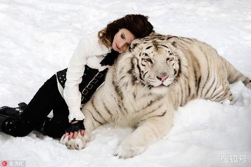 日韩猛兽图片高清视频