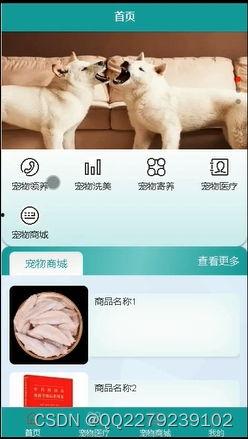 日韩养电子宠物视频在线观看